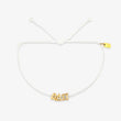 Alpha Delta Pi Collection
